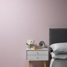 Load image into Gallery viewer, Ballerina Trim Paint