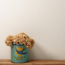 Load image into Gallery viewer, Corker Trim Paint