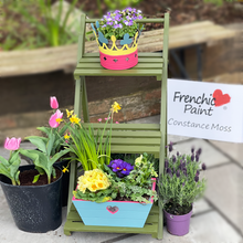 Load image into Gallery viewer, Constance Moss Al Fresco