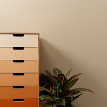 Load image into Gallery viewer, Fennec Trim Paint