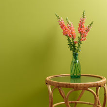 Load image into Gallery viewer, Lime Light Trim Paint