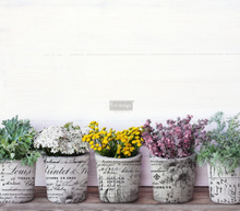 Load image into Gallery viewer, REDESIGN DÉCOR TRANSFERS® – LOVELY LEDGER 24″X 31″