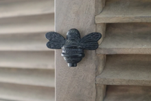 Load image into Gallery viewer, Brass Bee Drawer Knob - Black Finish