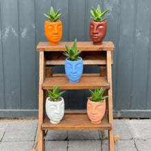 Load image into Gallery viewer, *Limited Edition* Just Peachy Al Fresco 500ml