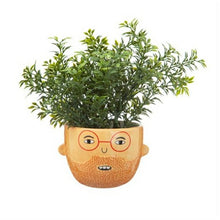 Load image into Gallery viewer, Mini Ross Planter