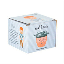 Load image into Gallery viewer, Mini Ross Planter