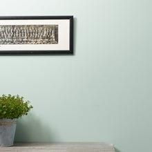 Load image into Gallery viewer, Little Duckle Trim Paint
