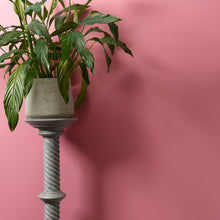 Load image into Gallery viewer, Macaroon Wall Paint
