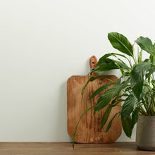 Load image into Gallery viewer, Sage Froth Trim Paint
