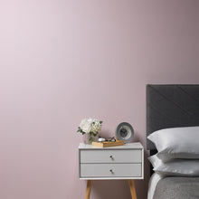 Load image into Gallery viewer, Ballerina - Peel &amp; Stick Paint Sample
