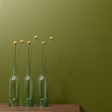 Load image into Gallery viewer, Constance Moss - Peel &amp; Stick Paint Sample
