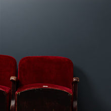 Load image into Gallery viewer, Dark Horse - Peel &amp; Stick Paint Sample
