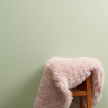 Load image into Gallery viewer, Eye Candy Trim Paint
