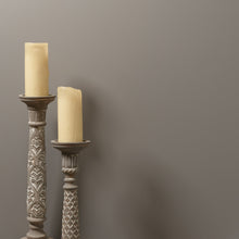 Load image into Gallery viewer, Goose - Peel &amp; Stick Paint Sample
