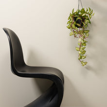 Load image into Gallery viewer, Ivory Tower Trim Paint
