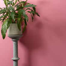 Load image into Gallery viewer, Macaroon - Peel &amp; Stick Paint Sample
