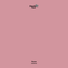 Load image into Gallery viewer, Macaroon - Peel &amp; Stick Paint Sample

