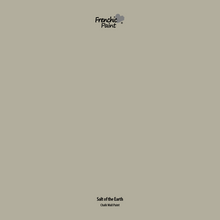 Load image into Gallery viewer, Salt Of The Earth - Peel &amp; Stick Paint Sample
