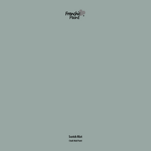 Load image into Gallery viewer, Scotch Mist - Peel &amp; Stick Paint Sample
