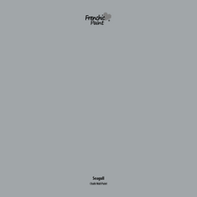 Load image into Gallery viewer, Seagull  - Peel &amp; Stick Paint Sample
