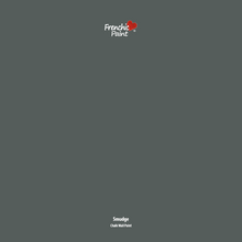 Load image into Gallery viewer, Smudge - Peel &amp; Stick Paint Sample

