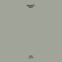 Load image into Gallery viewer, Spitfire - Peel &amp; Stick Paint Sample
