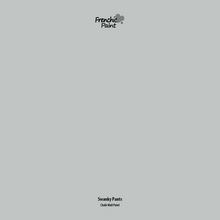 Load image into Gallery viewer, Swanky Pants - Peel &amp; Stick Paint Sample
