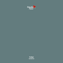 Load image into Gallery viewer, Verdigris - Peel &amp; Stick Paint Sample
