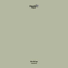 Load image into Gallery viewer, Wise Old Sage - Peel &amp; Stick Paint Sample
