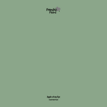 Load image into Gallery viewer, Apple Of My Eye - Peel &amp; Stick Paint Sample
