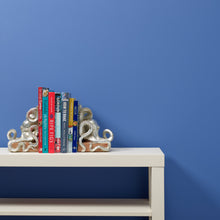 Load image into Gallery viewer, Pool Boy - Peel &amp; Stick Paint Sample
