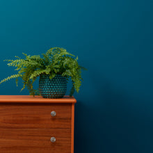 Load image into Gallery viewer, Steel Teal - Peel &amp; Stick Paint Sample

