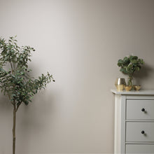 Load image into Gallery viewer, Stone Rosie Wall Paint
