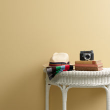 Load image into Gallery viewer, Straw Hat Wall Paint

