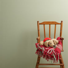 Load image into Gallery viewer, Wise Old Sage Trim Paint
