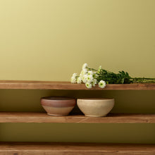 Load image into Gallery viewer, Citrine - Peel &amp; Stick Paint Sample
