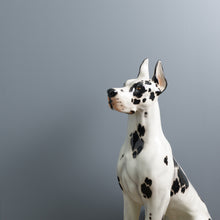 Load image into Gallery viewer, Greyhound Wall Paint
