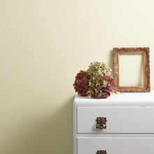 Load image into Gallery viewer, On a Whim Trim Paint
