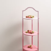 Load image into Gallery viewer, Rosy Dusk Trim Paint
