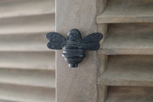 Load image into Gallery viewer, Brass Bee Drawer Knob - Black Finish
