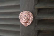 Load image into Gallery viewer, Brass Lion Drawer Knob - Rose Gold Finish
