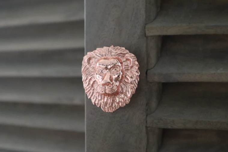 Brass Lion Drawer Knob - Rose Gold Finish