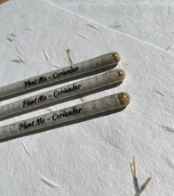 Load image into Gallery viewer, Seed pencils - recycled rolled newspaper - coriander seeds - sustainably sourced graphite - botanical stationary - eco pencil
