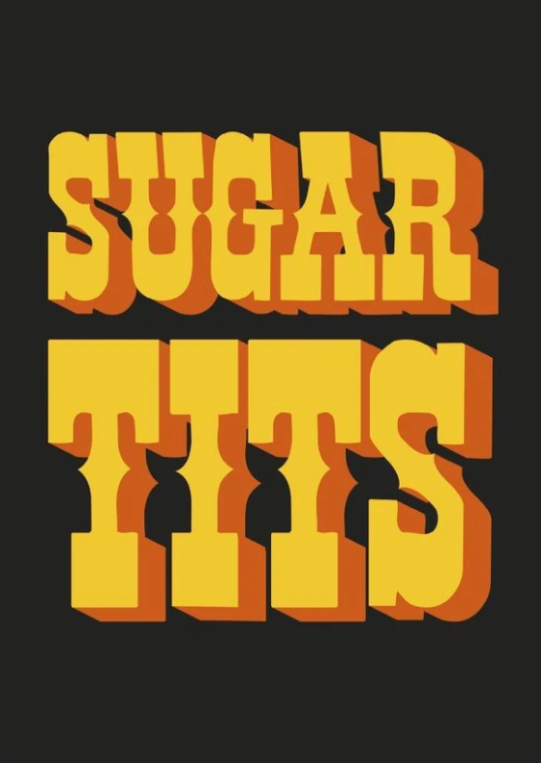 SUGAR TITS TYPOGRAPHY ART PRINT/ART POSTER/WALL ART - A5