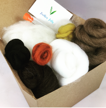 Load image into Gallery viewer, Spotty Owl Needle Felting Kit
