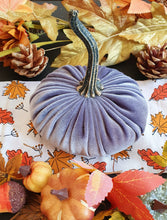 Load image into Gallery viewer, Handmade Small Velvet Pumpkins
