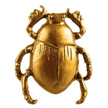 Load image into Gallery viewer, GOLD SCARAB BEETLE DRAWER KNOB
