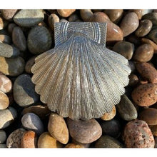 Load image into Gallery viewer, Brass Shell Door Knocker - Nickel Finish
