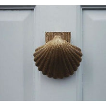 Load image into Gallery viewer, Brass Shell Door Knocker - Brass Finish
