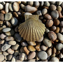 Load image into Gallery viewer, Brass Shell Door Knocker - Brass Finish
